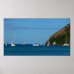 Sailboats in the Bay White and Blue Nautical Poster