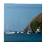 Sailboats in the Bay White and Blue Nautical Tile