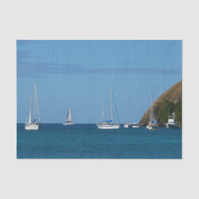 Sailboats in the Bay White and Blue Nautical Tissue Paper (Front)