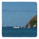 Sailboats in the Bay White and Blue Nautical Trivet