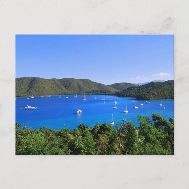 Sailboats, Maho Bay, St. John, U.S.V.I. Postcard (Front)