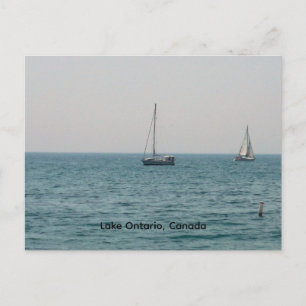 Sailboats on Lake Ontario Postcard