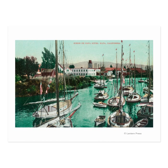 Sailboats on Napa River SceneNapa, CA Postcards