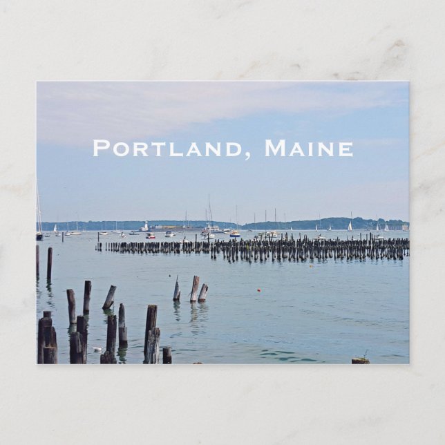 Sailboats On The Coast of Old Port, Portland Maine Postcard (Front)