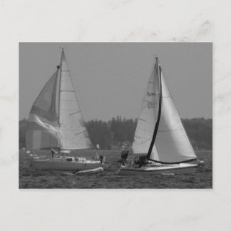 Sailboats Postcard