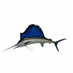 Sailfish Cutout<br><div class="desc">Mounted Sailfish caught at St. Augustine,  Florida.</div>