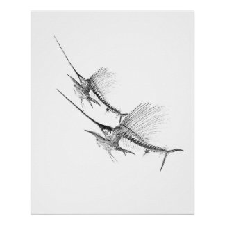 Sailfish Skeleton Fisherman Poster