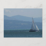 Sailing Away Postcard at Zazzle