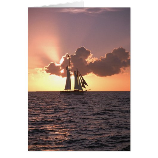 Sailing (blank card) cards (Front)