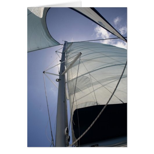 Sailing Cards (Front)