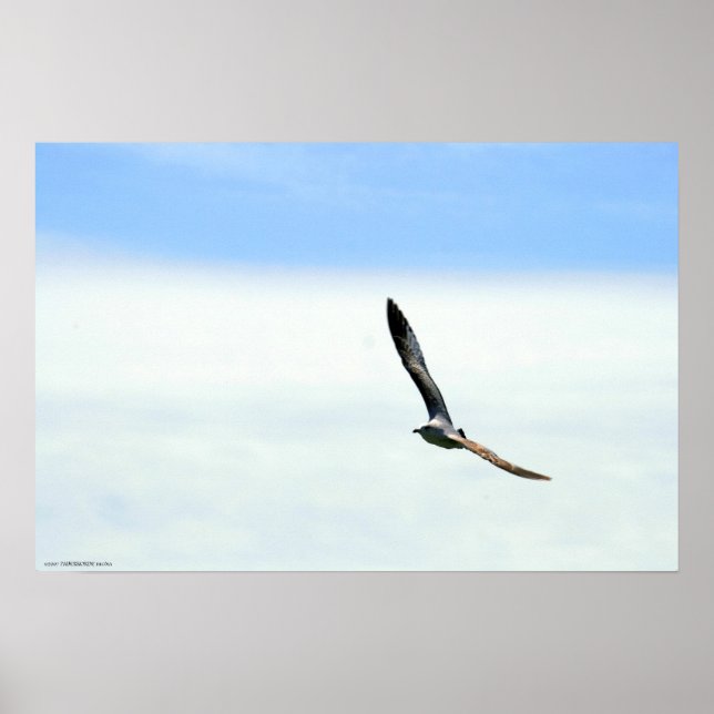 Sailing - Customized Poster (Front)