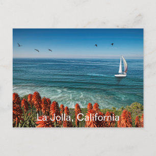 Sailing in La Jolla Postcard