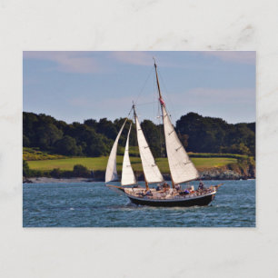 Sailing In Newport, Rhode Island, USA Postcard