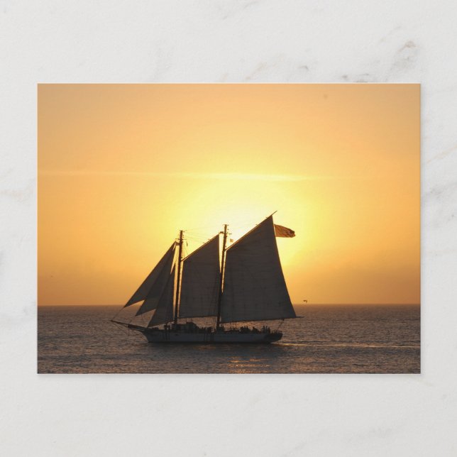 Sailing in sunset postcard (Front)
