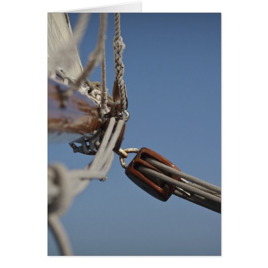 Sailing Jib Cards (Front)
