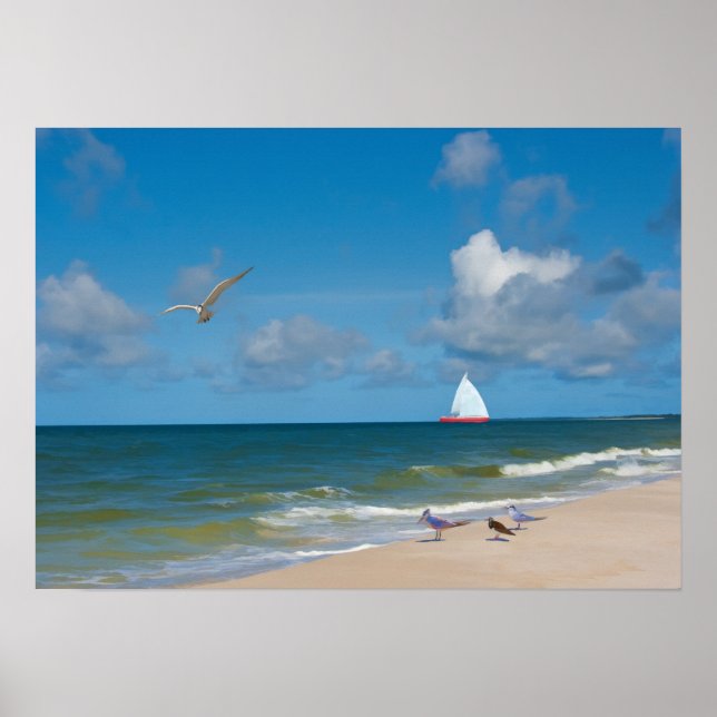 Sailing on the Gulf of Mexico Print (Front)