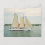 Sailing Sailboats Postcard