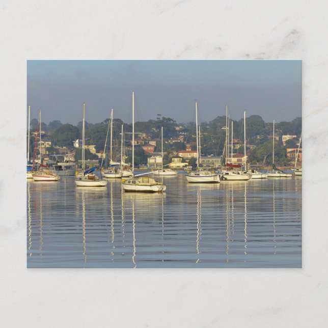 Sailing Ships Postcard (Front)