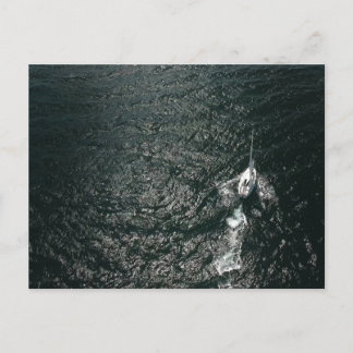 Sailing the Pacific Ocean Postcard