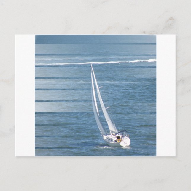 Sailing Wind Design Postcard (Front)