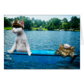 Sailor Cats (Front Horizontal)