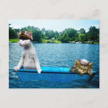 Sailor Cats Postcard by CaptainScratch at Zazzle