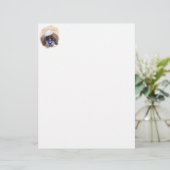 Sailor Pekingese (Standing Front)