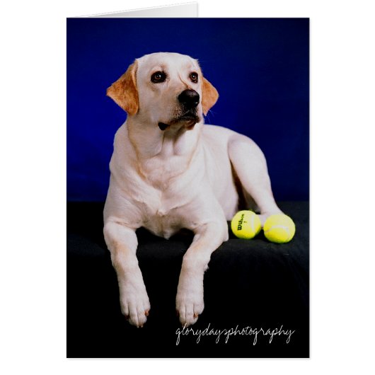 sailor studio, glorydaysphotography (Front)