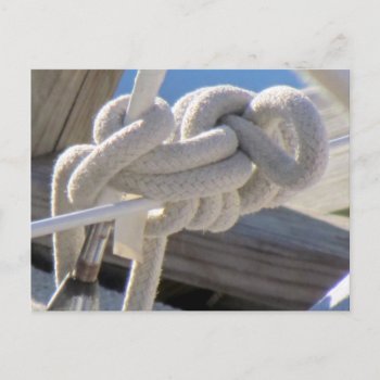 Sailor's Knot Postcard by CatsEyeViewGifts at Zazzle
