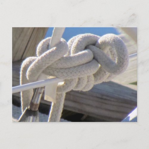 Sailors Knot Postcard