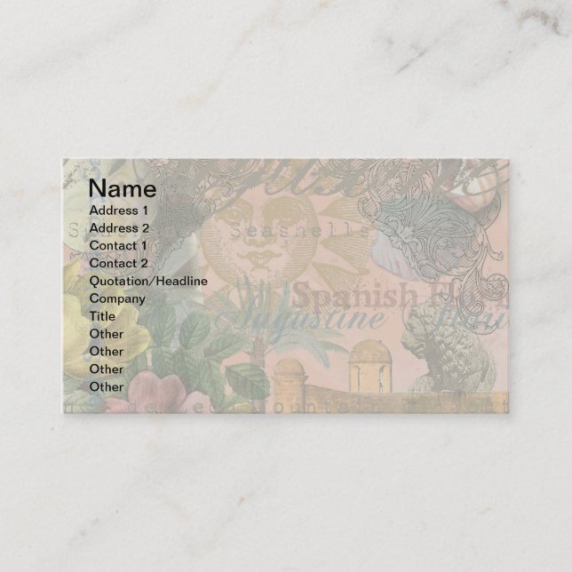 saint augustine florida travel antique art business card (Front)