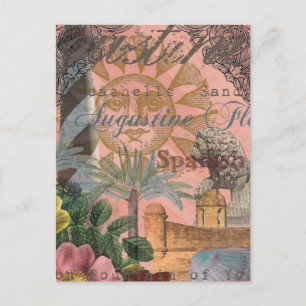 saint augustine florida travel antique art postcard