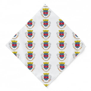 Saint Barthélemy Flag Bandana