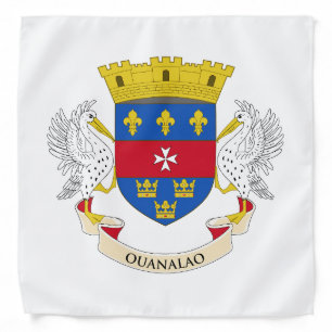 Saint Barthélemy Flag Bandana