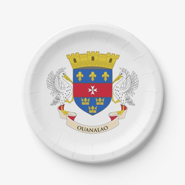 Saint Barthélemy Flag Paper Plates (Front)