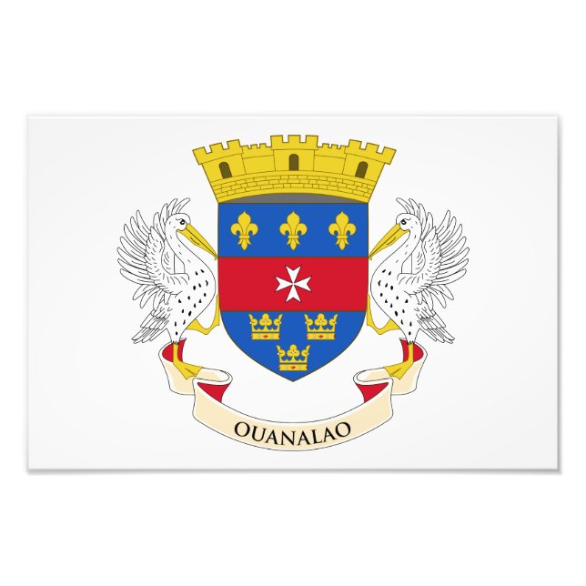 Saint Barthélemy Flag Photo Print (Front)