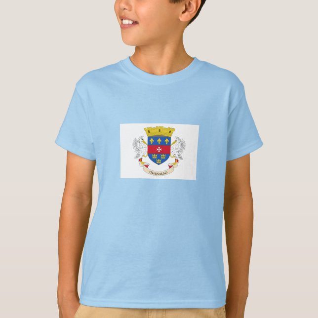 Saint Barthélemy Flag T-Shirt (Front)