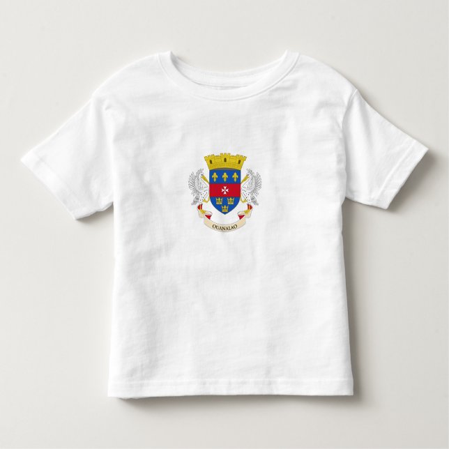 Saint Barthélemy Flag Toddler T-shirt (Front)