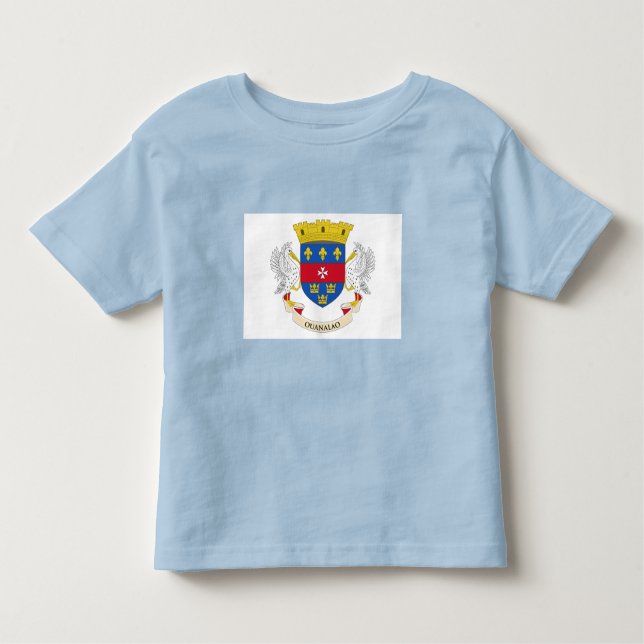 Saint Barthélemy Flag Toddler T-shirt (Front)