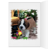 Saint Bernard Art Gifts Cards (Inside (Left))