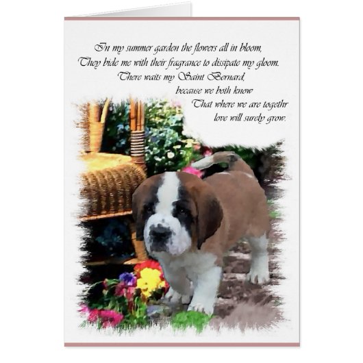 Saint Bernard Art Gifts Cards (Front)
