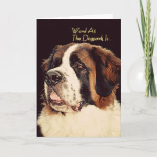 Saint Bernard Birthday Card