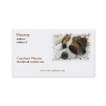 Saint Bernard Business Card