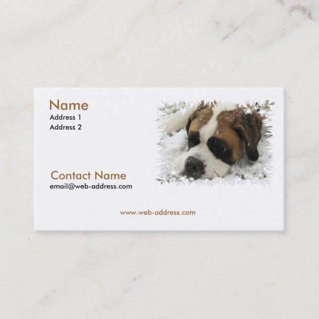 Saint Bernard Business Card (Front)