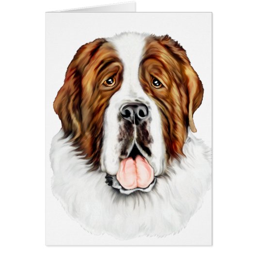 Saint Bernard Bust Cards (Front)