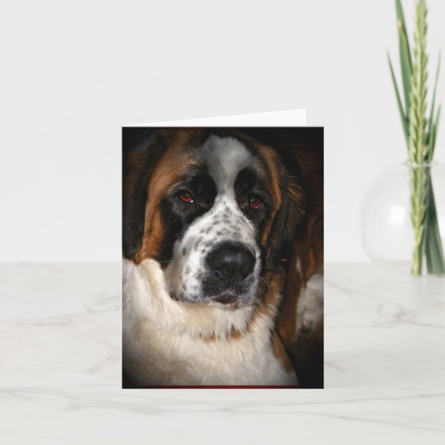 Saint Bernard Cards,customizable Letterpress Thank You Card (Front)