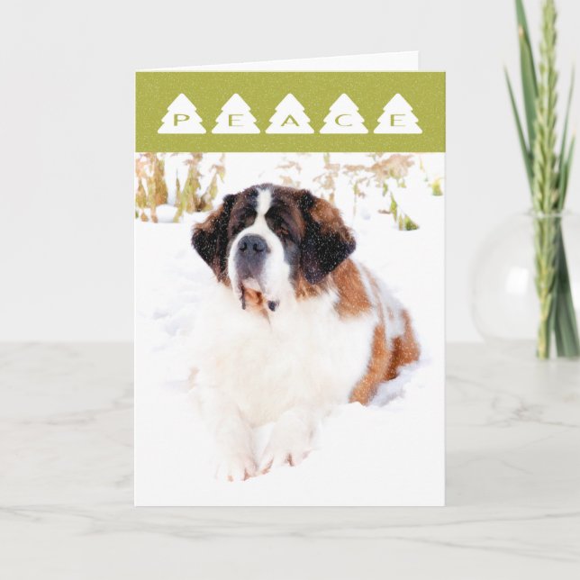Saint Bernard Christmas Card (Front)