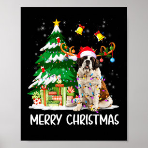 Saint Bernard Christmas Lights Tree Santa Xmas Paj Poster