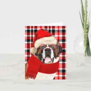Saint Bernard Dog and Red Plaid Christmas Holiday Card