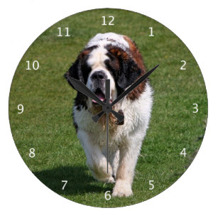 St Bernard Dog Print Round Wall Clock 